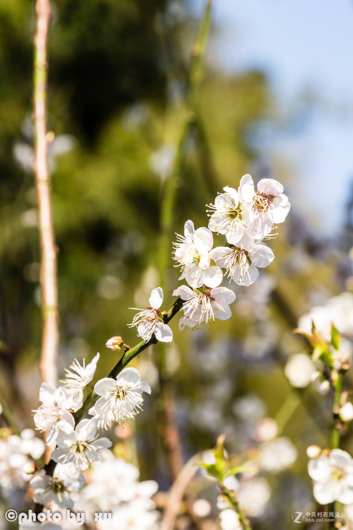 从化高山“呀婆六村”，祝大家新年快乐