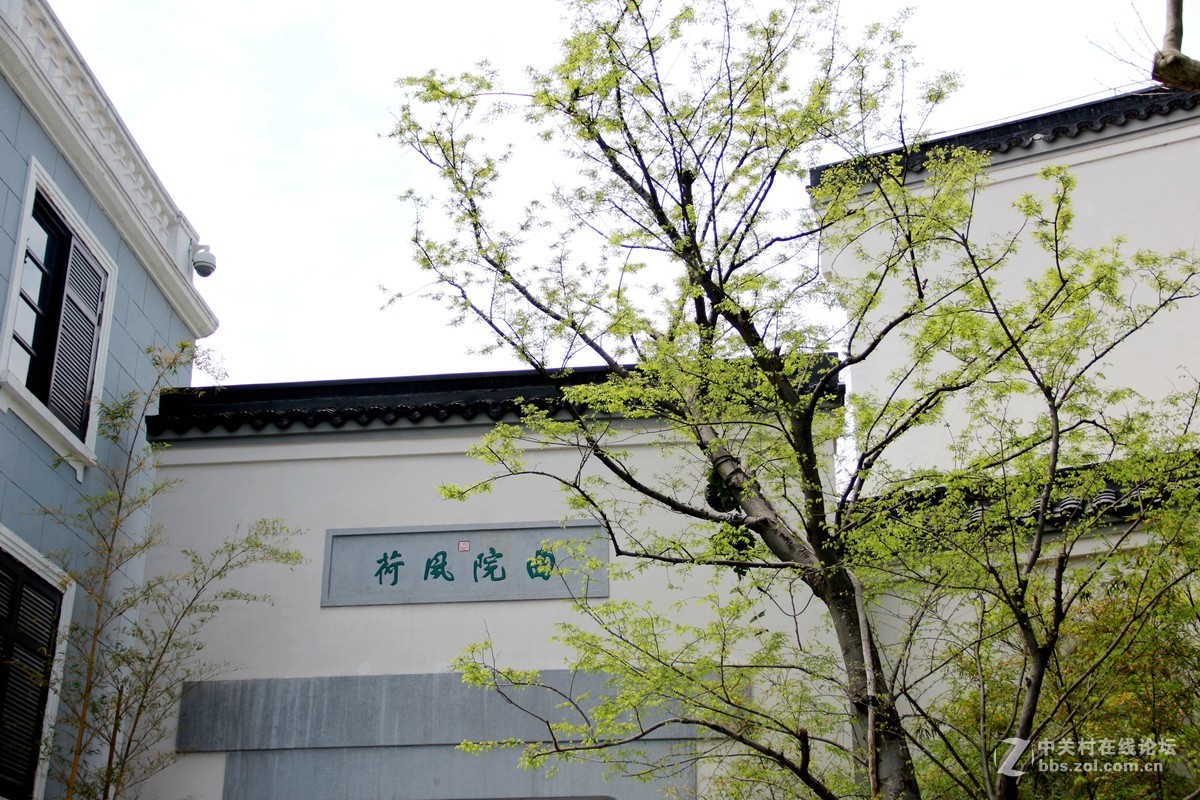 好久没paipaipai了请各位好友凑合看看给我些建议和指