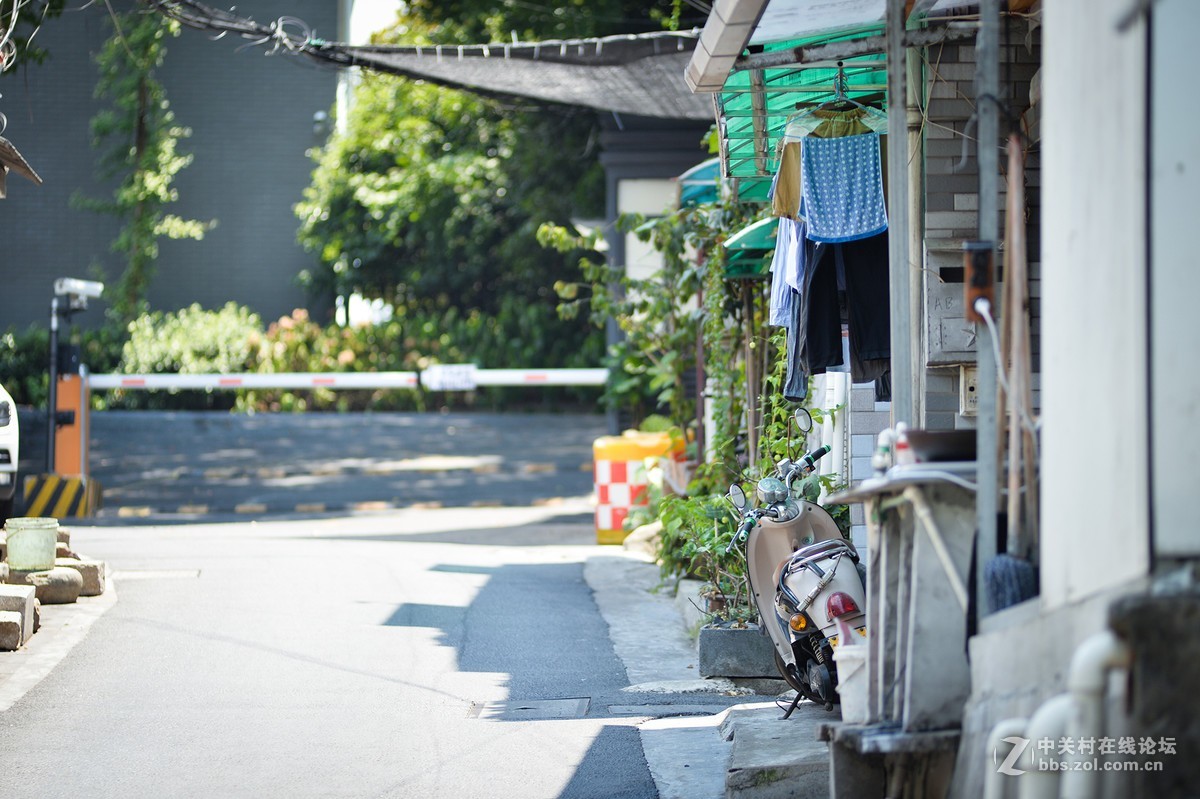 扫街，拍荷，拍鹅