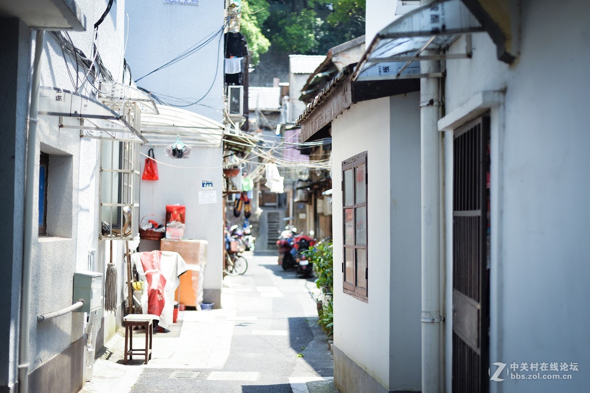 扫街，拍荷，拍鹅