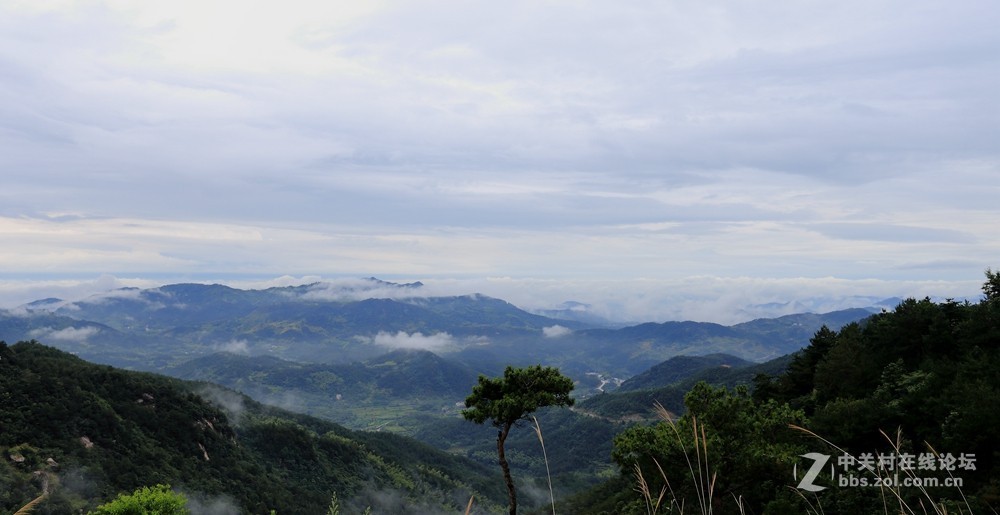 各位色友   双节快乐  发几片请斧正