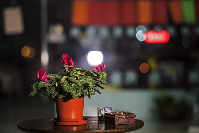 A7R3 磨合中~天冷宅家玩摆拍，玩到极致玩焦外~~