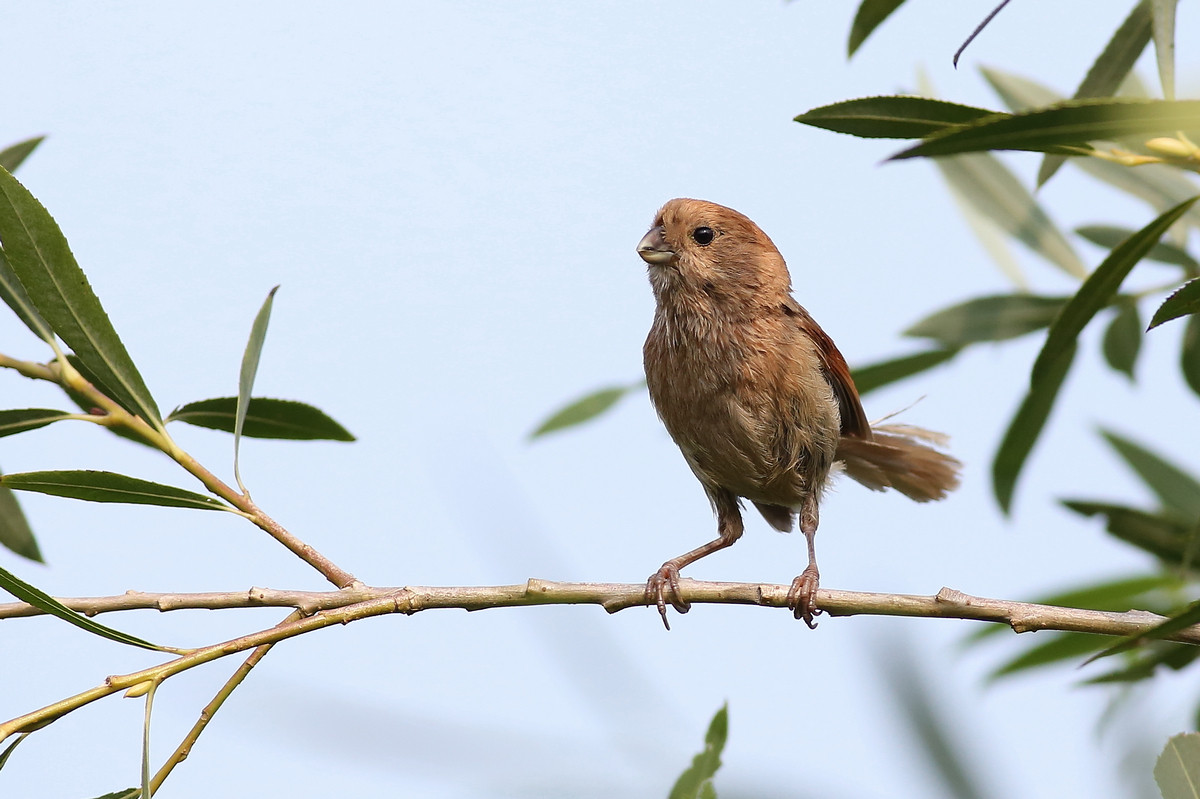 佳能7DⅡ星空(中国)八月份美帖共享