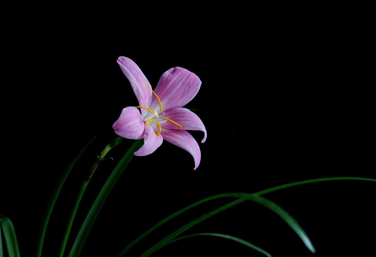 佳能7DⅡ星空(中国)八月份美帖共享