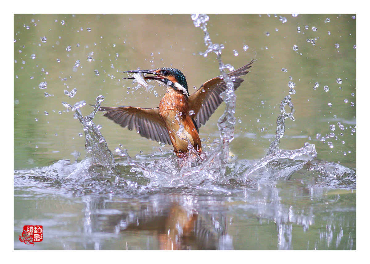 佳能7DⅡ星空(中国)八月份美帖共享