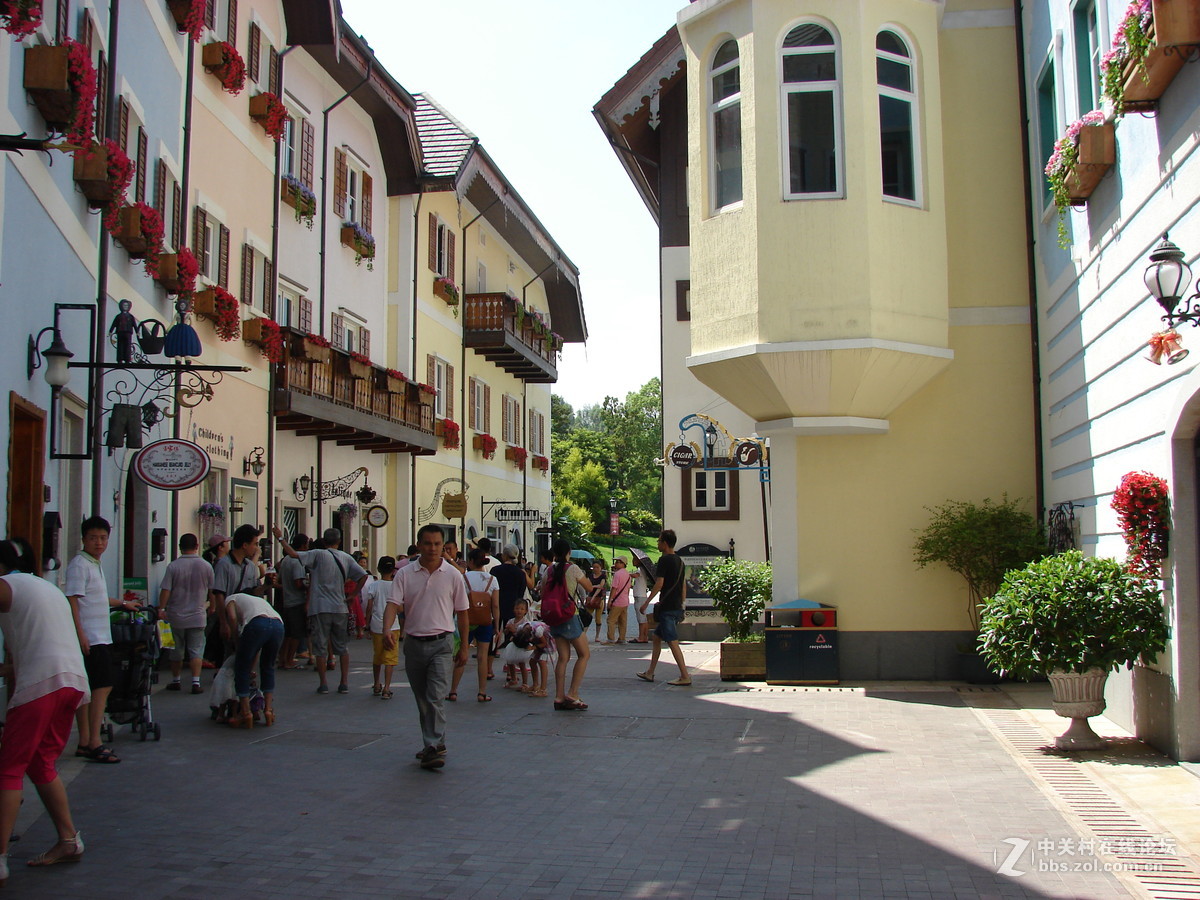 把旧相机拿出来晒太阳