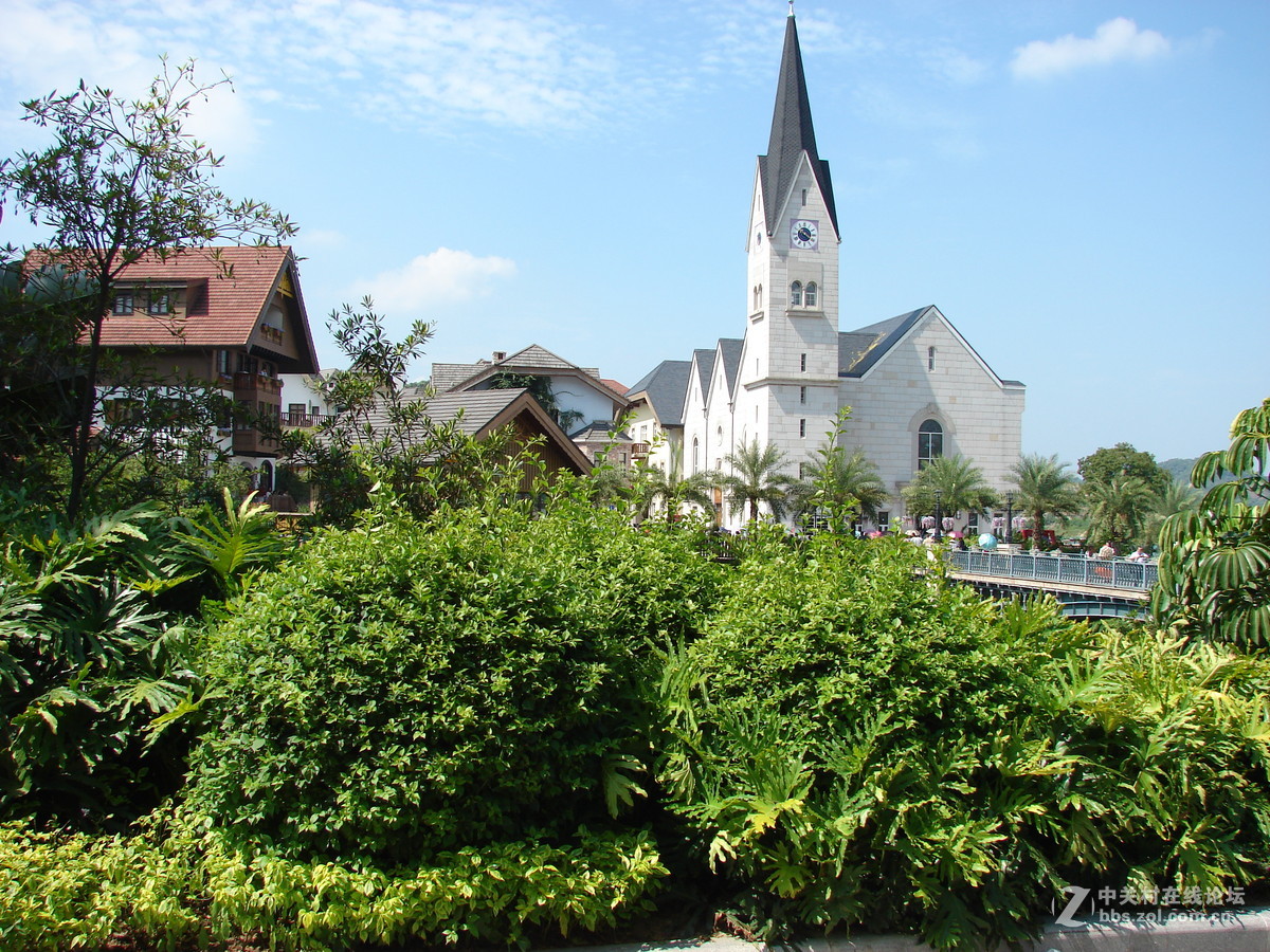 把旧相机拿出来晒太阳