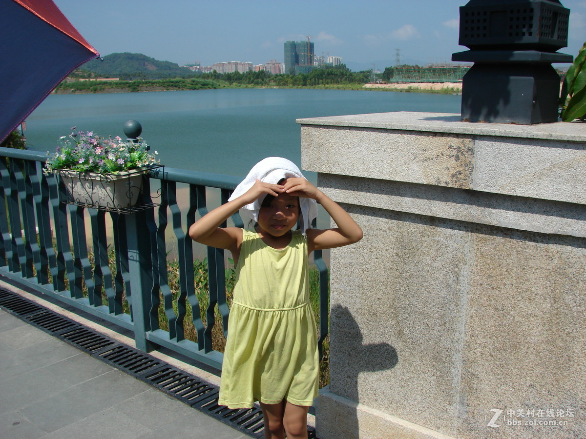 把旧相机拿出来晒太阳