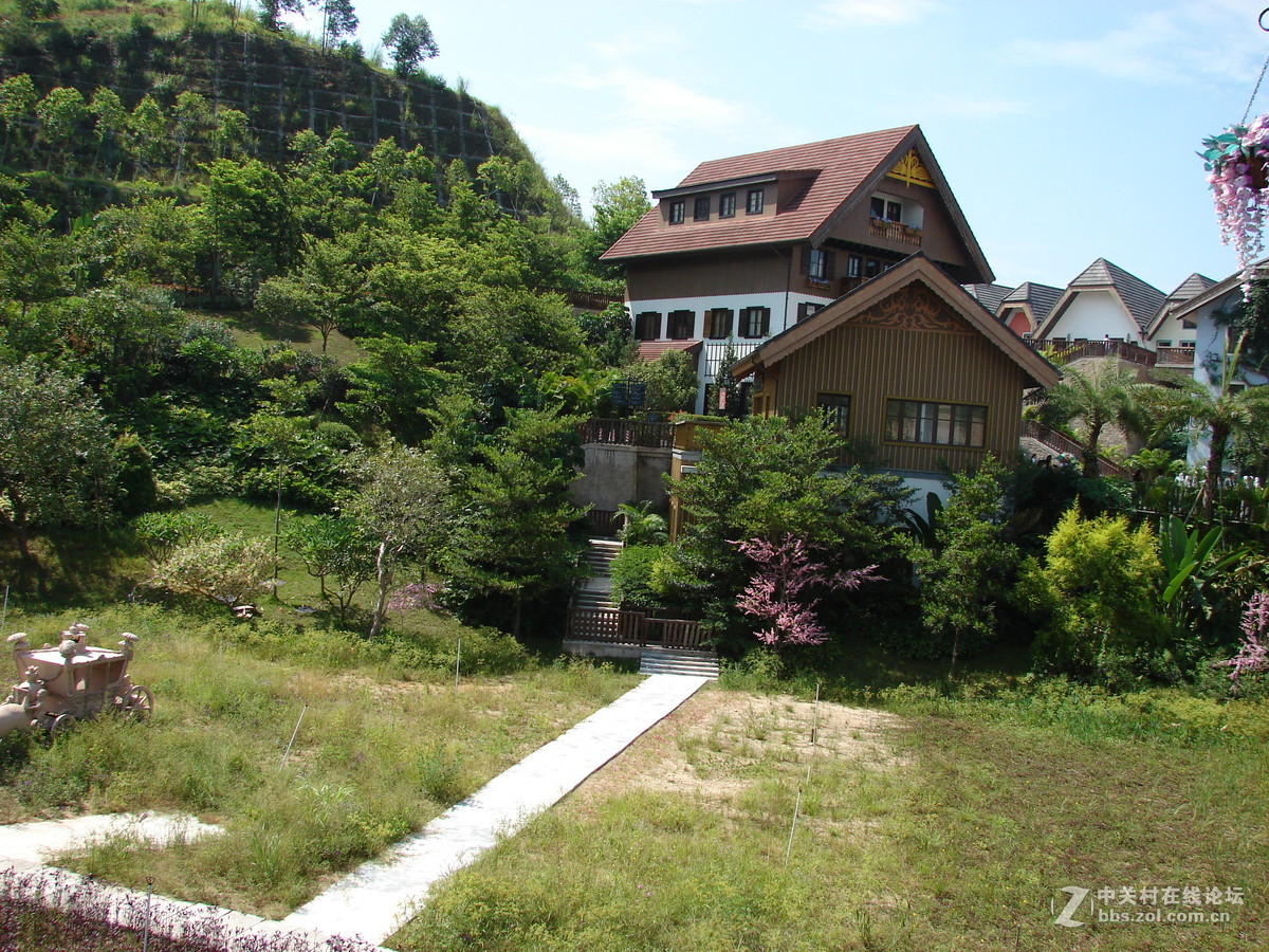 把旧相机拿出来晒太阳