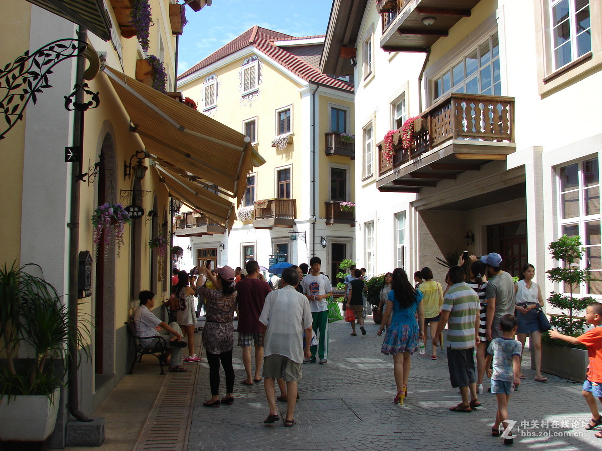 把旧相机拿出来晒太阳