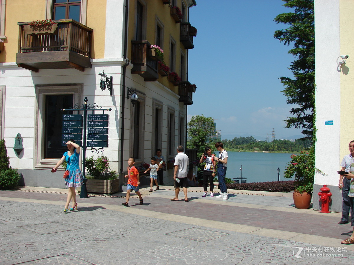 把旧相机拿出来晒太阳