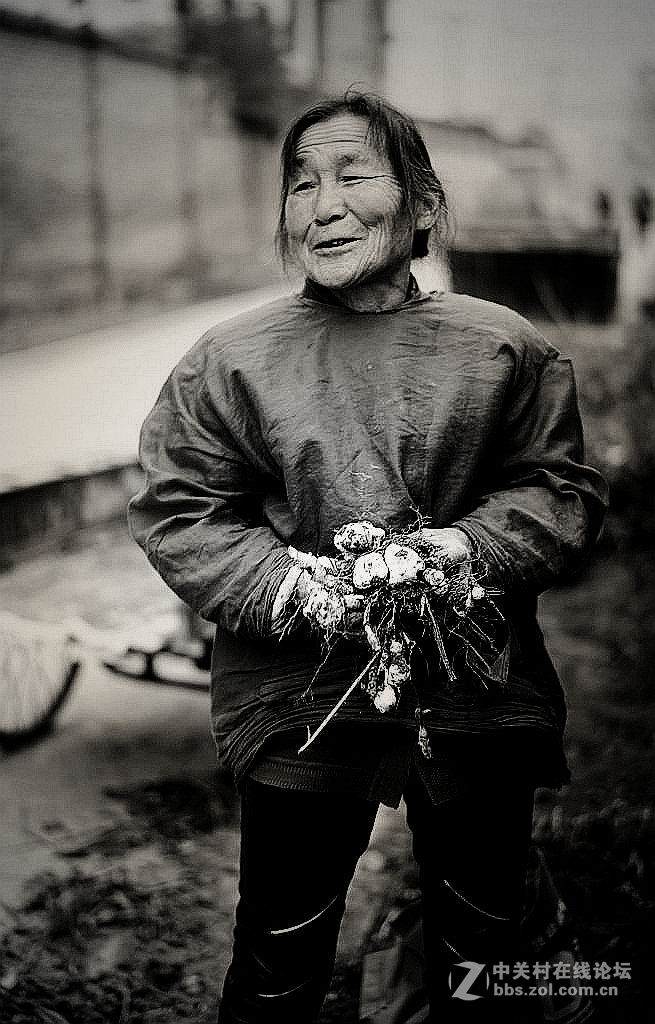 刨洋姜的老人-黑白片