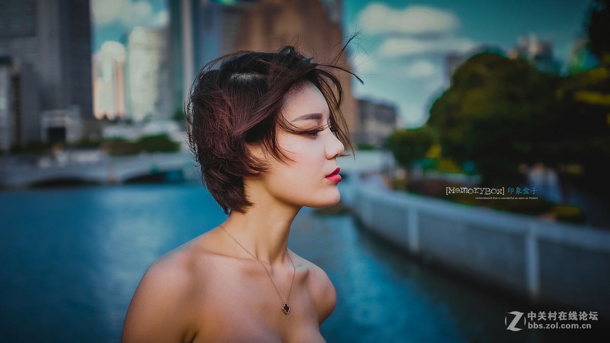 深秋午后阳光下的一些印象