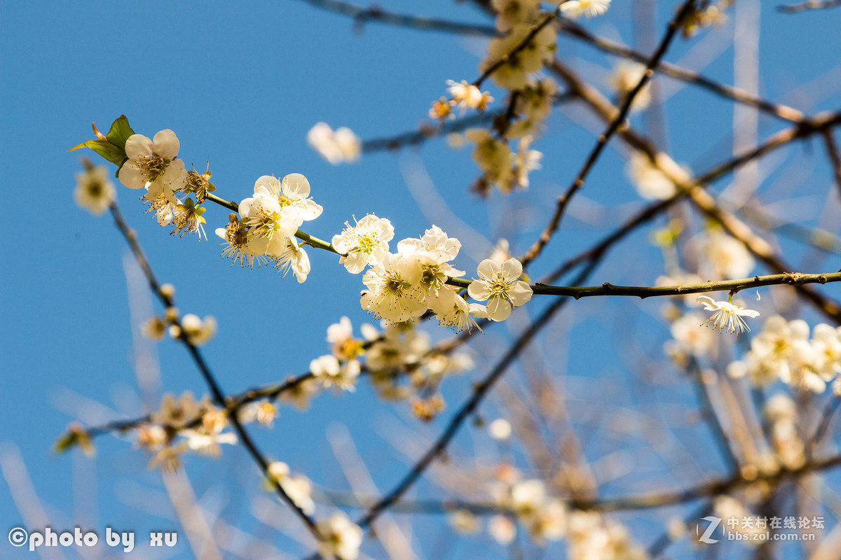 从化高山“呀婆六村”，祝大家新年快乐