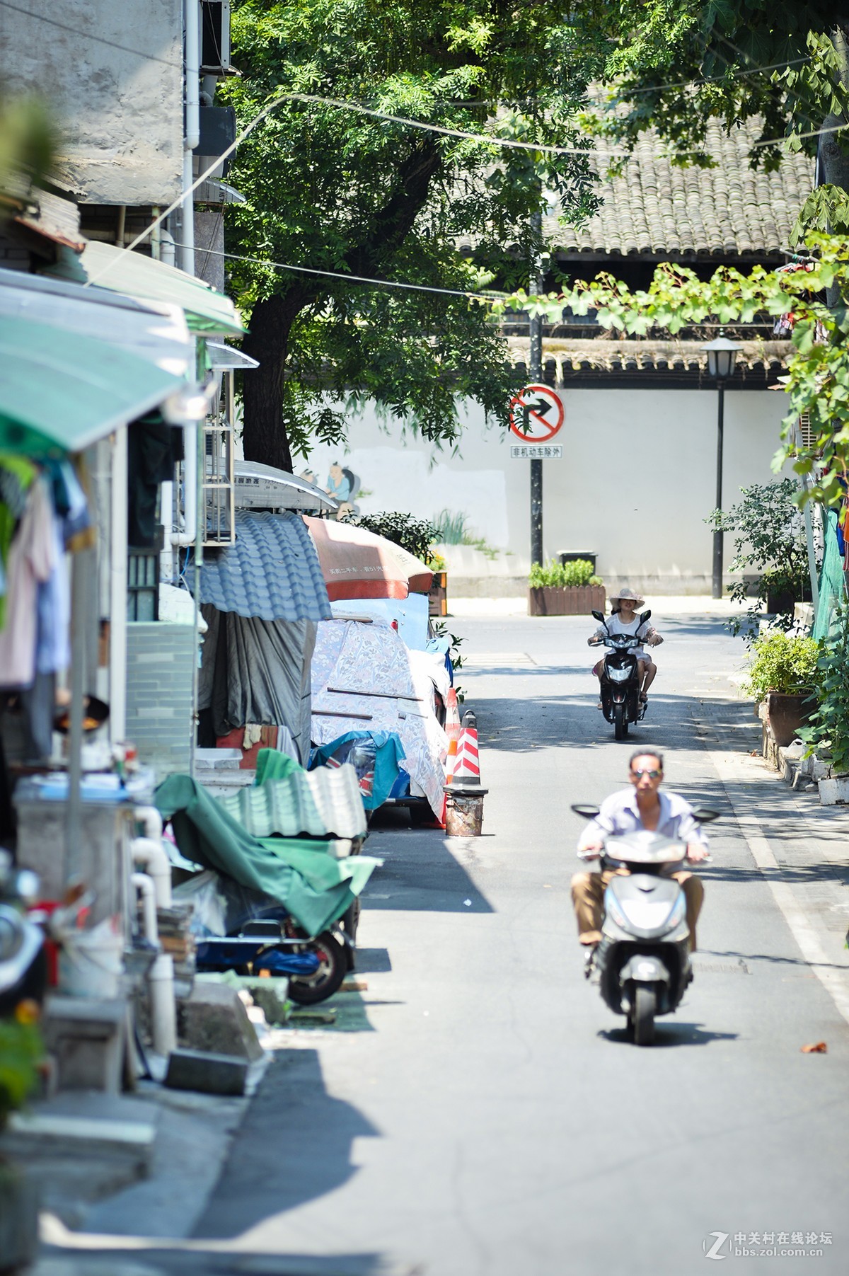 扫街，拍荷，拍鹅