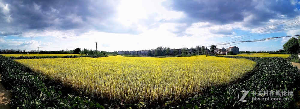 各位色友   双节快乐  发几片请斧正