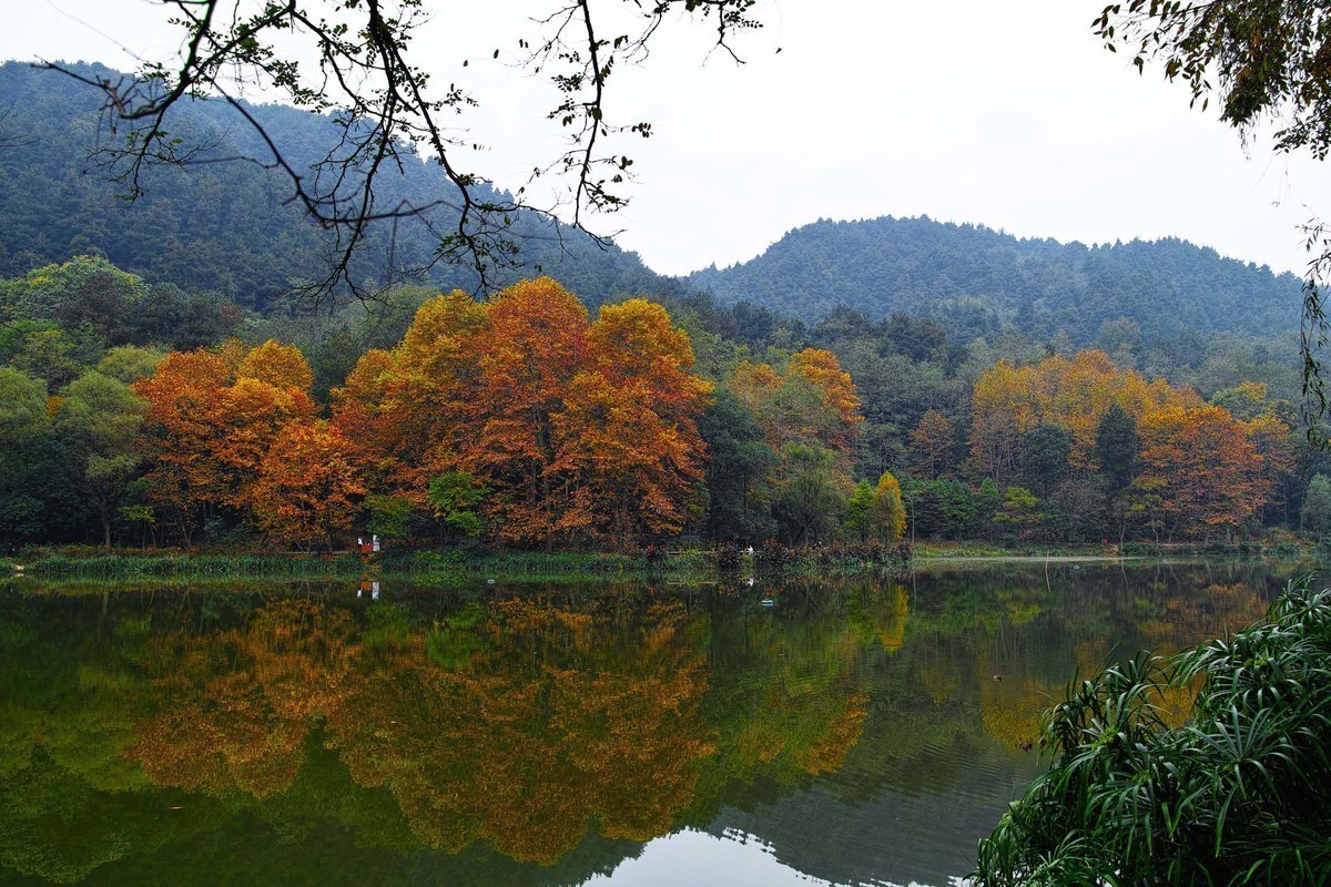 秋冬交替的黔灵湖