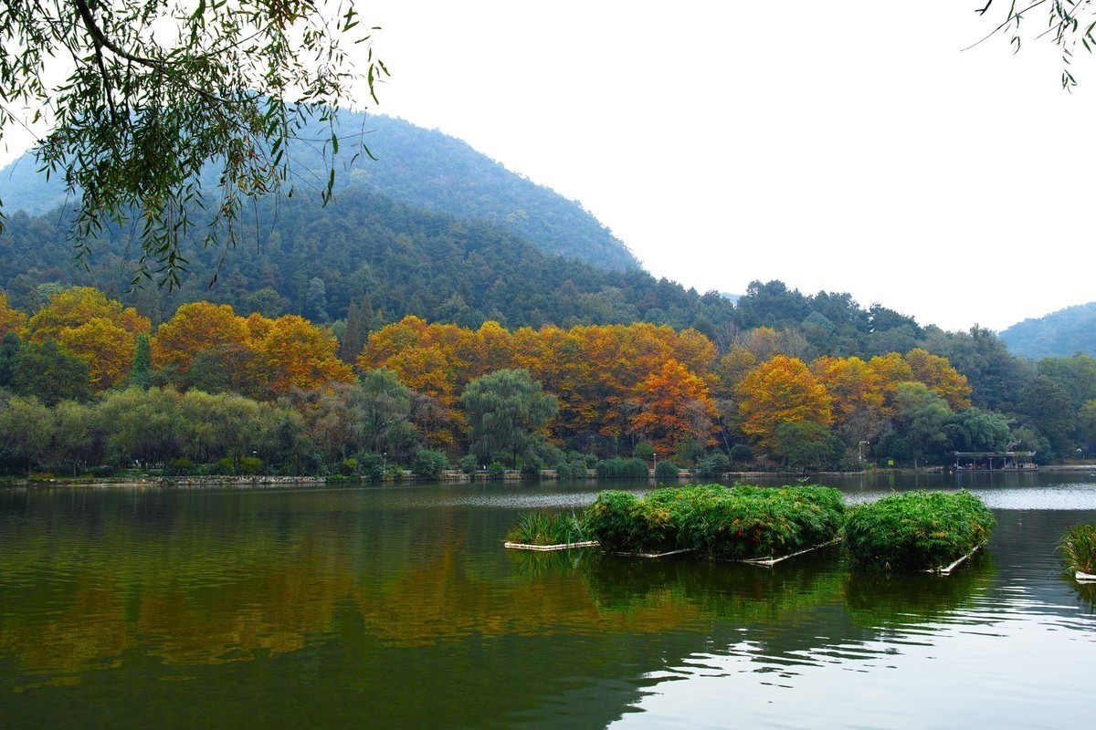 秋冬交替的黔灵湖