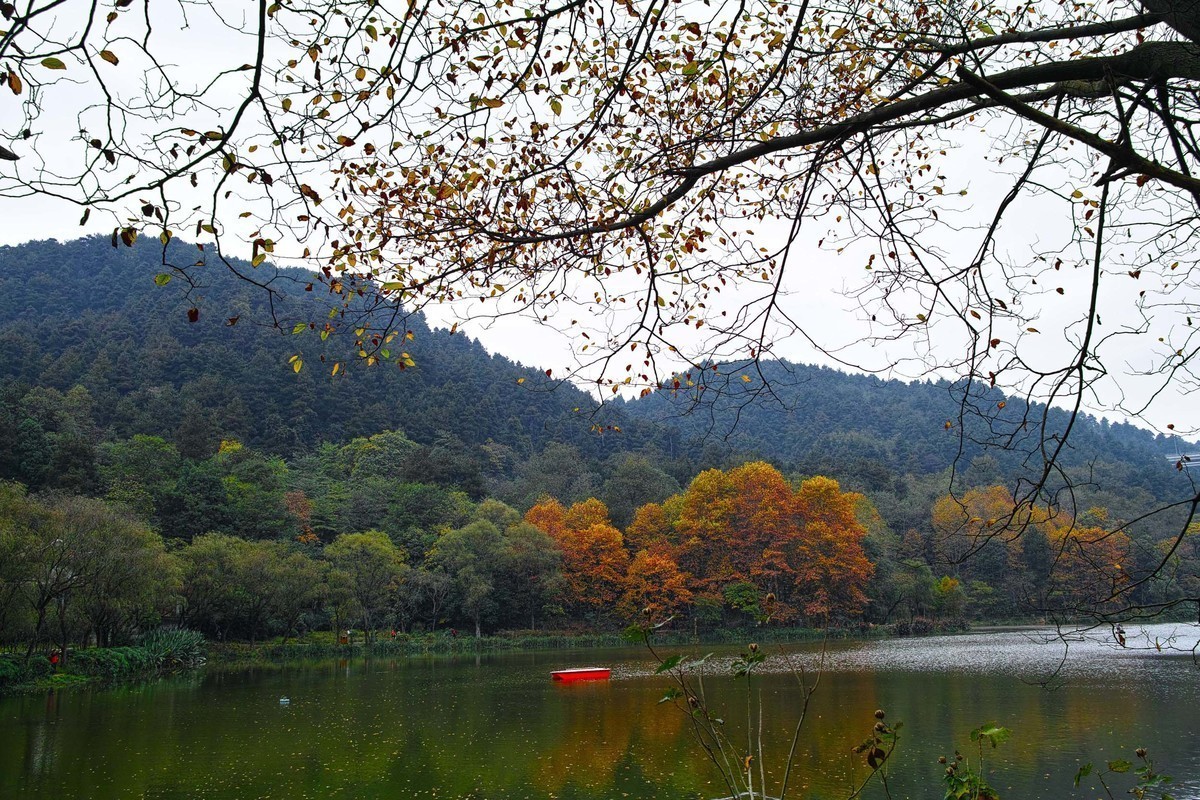 秋冬交替的黔灵湖