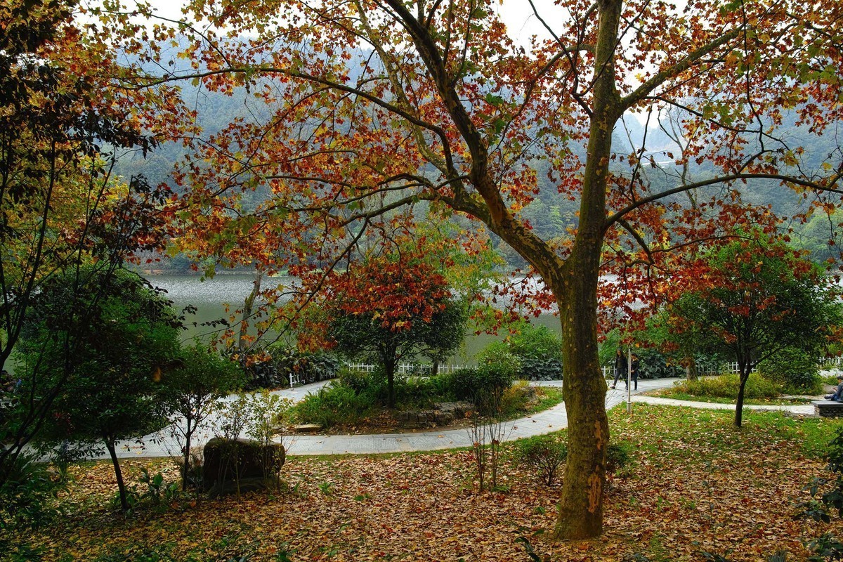 秋冬交替的黔灵湖