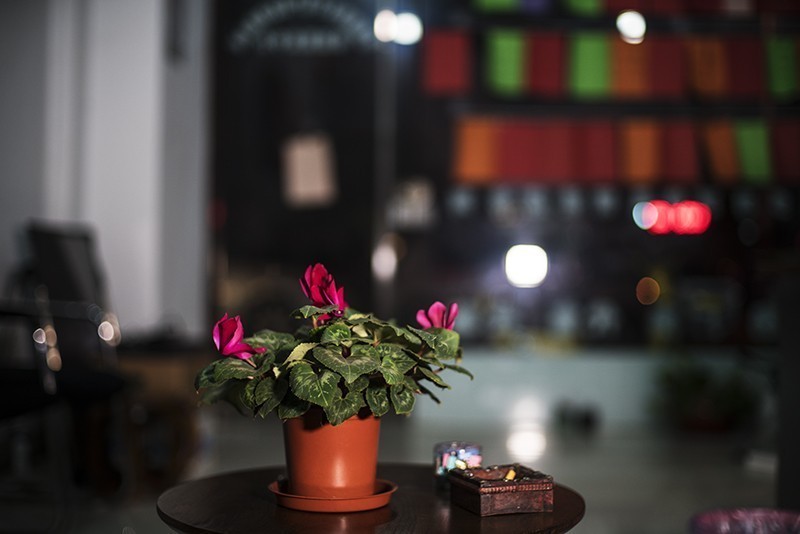 A7R3 磨合中~天冷宅家玩摆拍，玩到极致玩焦外~~