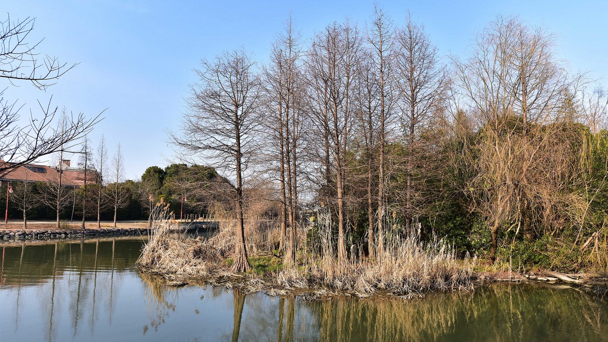 尼康(Nikon) AF-S 14-24mm镜头试镜