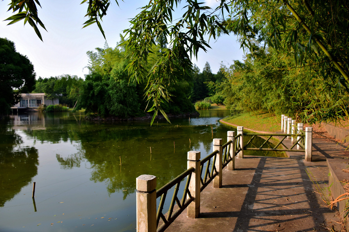 上海万竹园（内有丝竹镇）