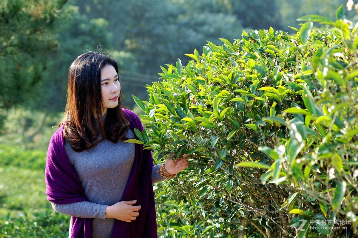 尝试老机器美能达a7D