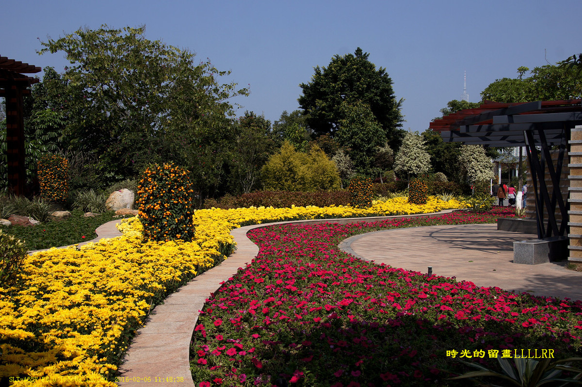 #版主坐堂#2016年2月份《承德》优秀作品选辑