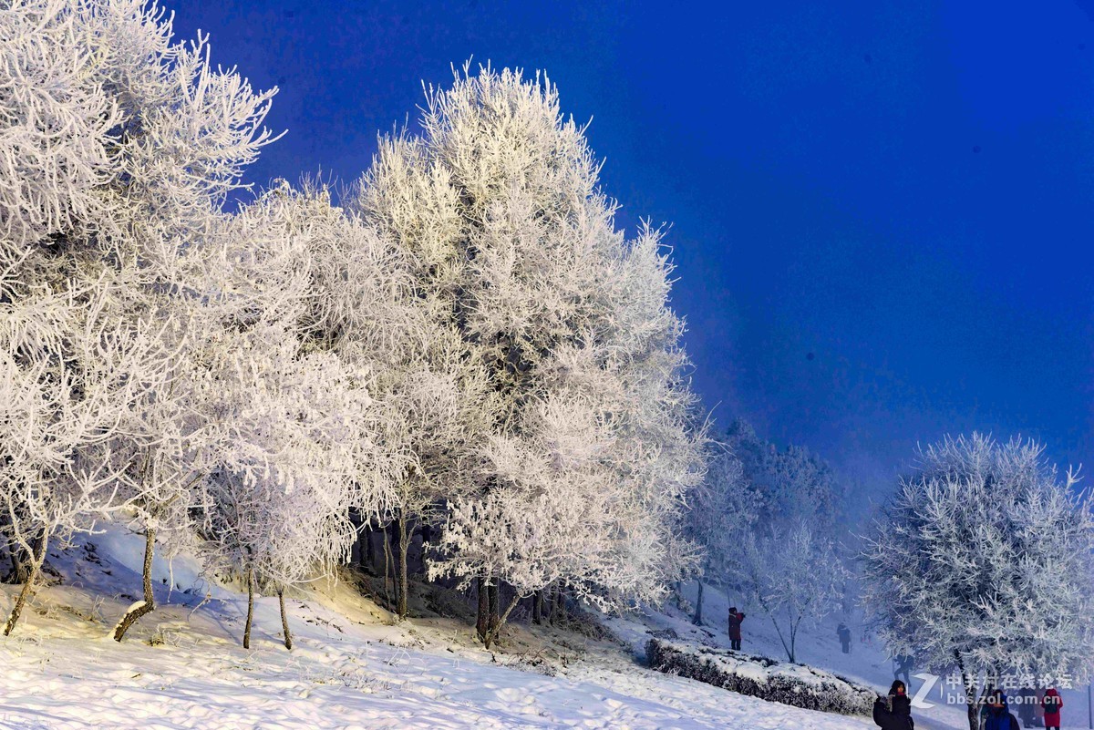 超凡脱俗的吉林雾凇