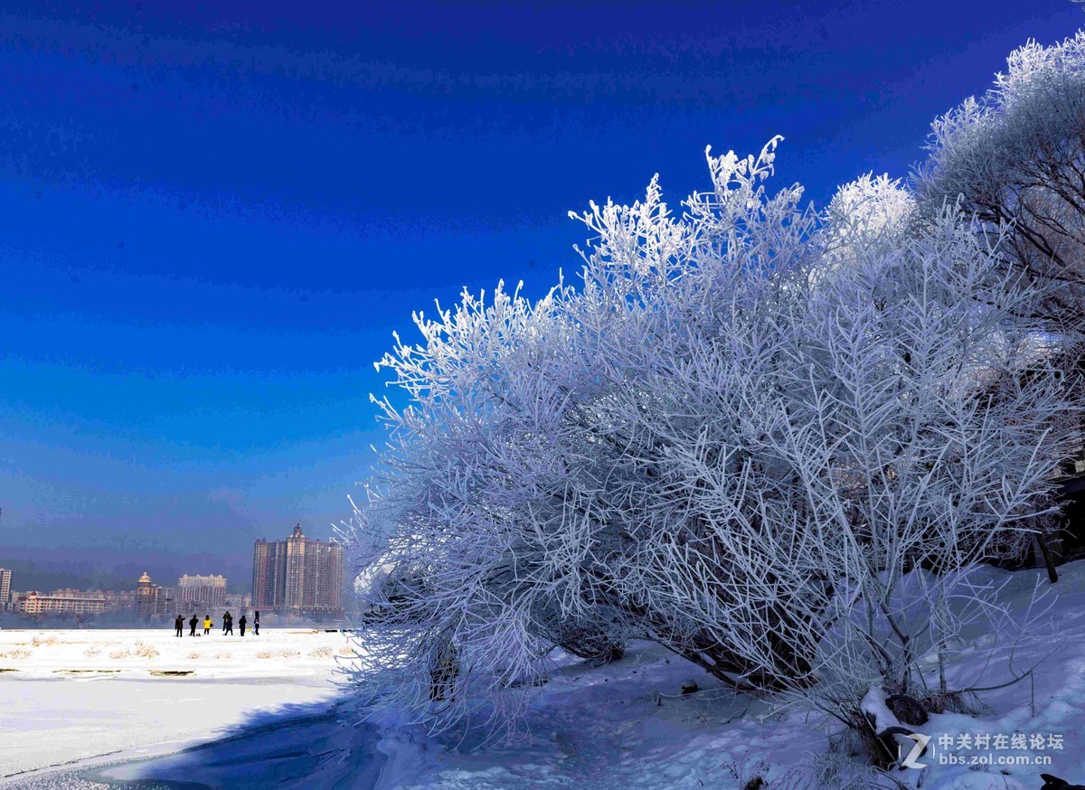 超凡脱俗的吉林雾凇