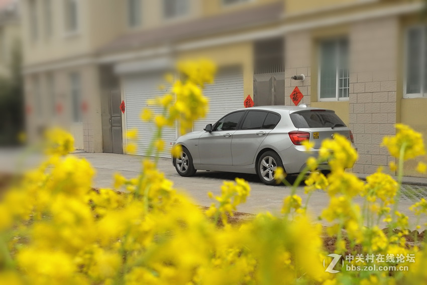 万朵菜花黄，满地吐芬芳......