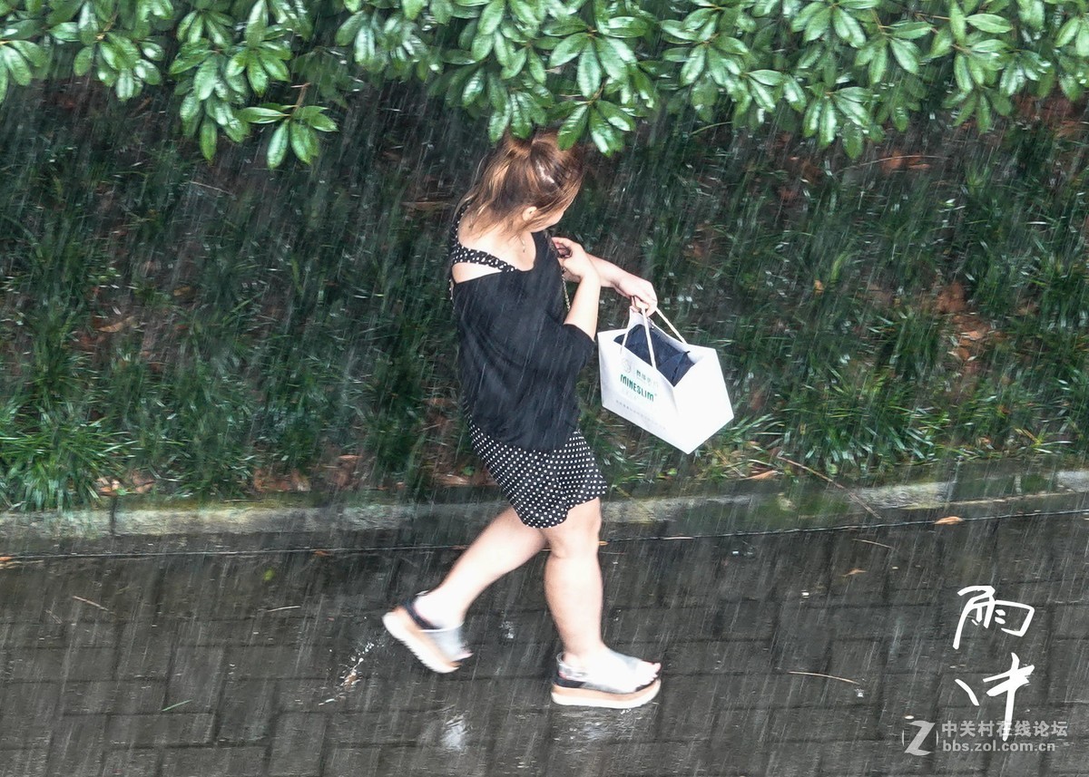 雨中