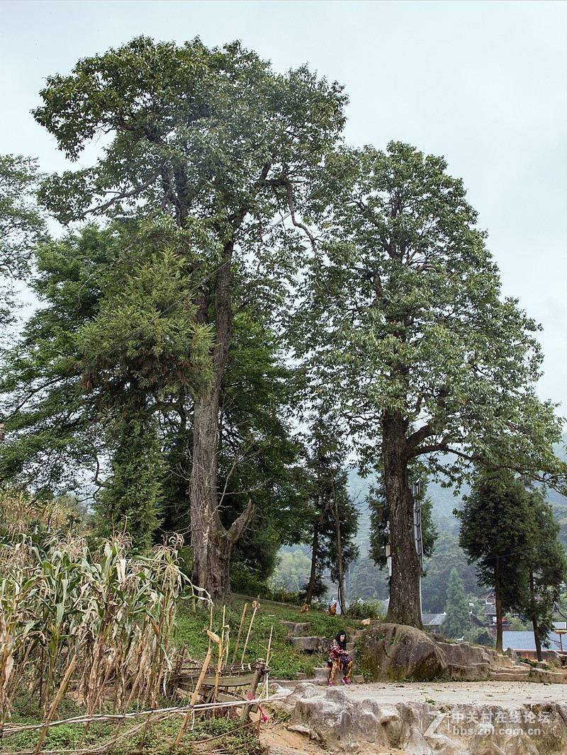 湖南花瑶古寨——崇木凼村