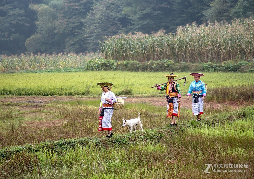 湖南花瑶古寨——崇木凼村