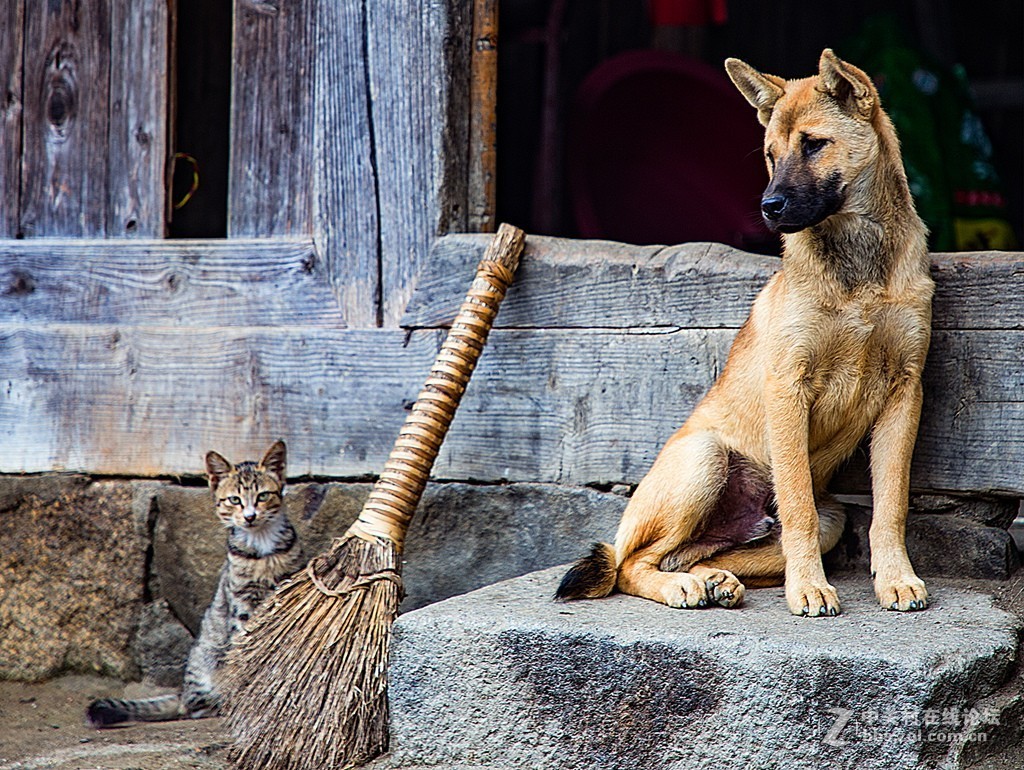 湖南花瑶古寨——崇木凼村