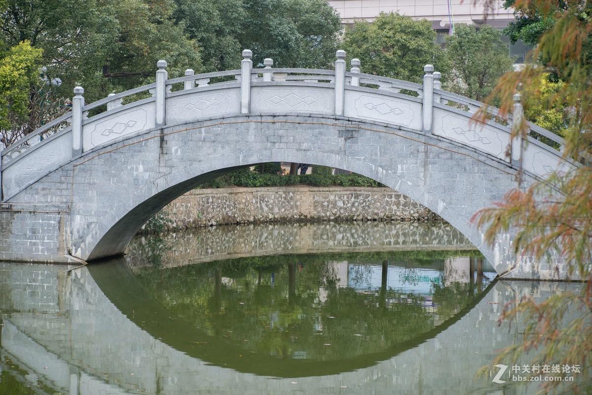 又见李花开，610+图丽80-400