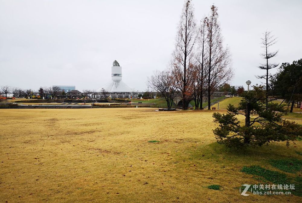 日本  高冈 寻找机器猫的家