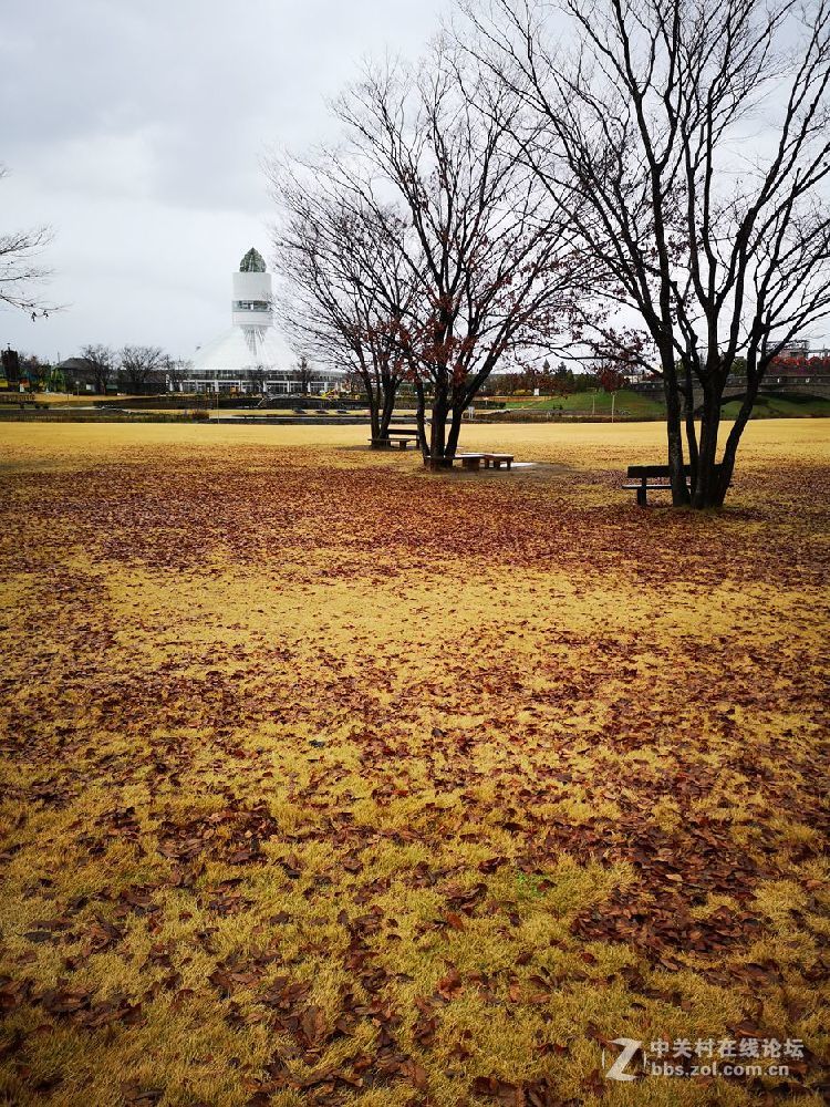 日本  高冈 寻找机器猫的家