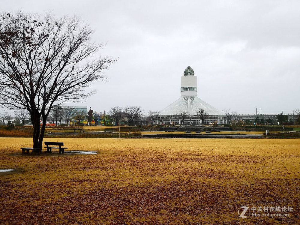 日本  高冈 寻找机器猫的家
