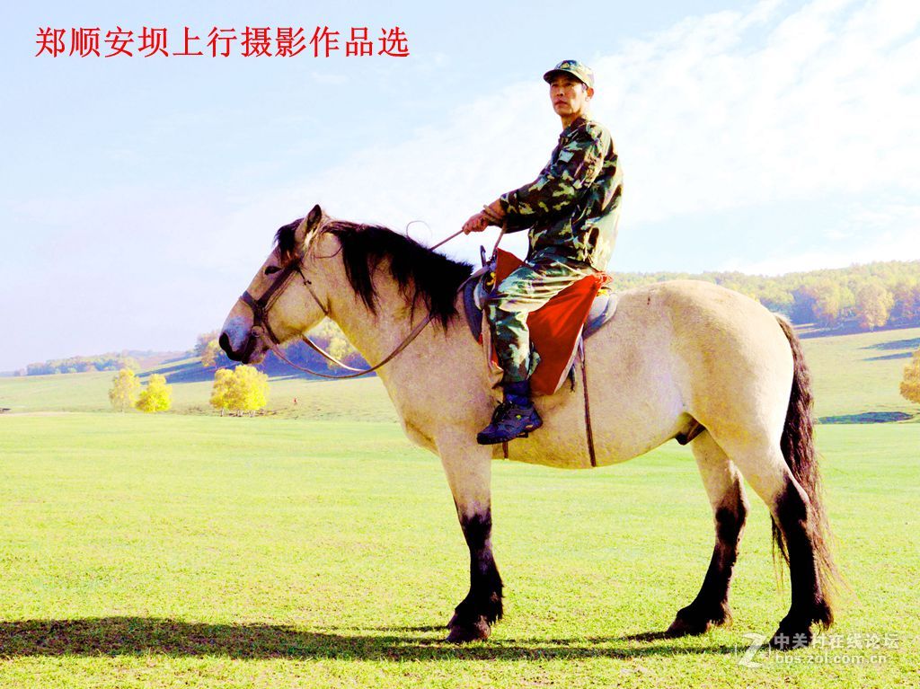 郑顺安坝上行摄影作品选（一）