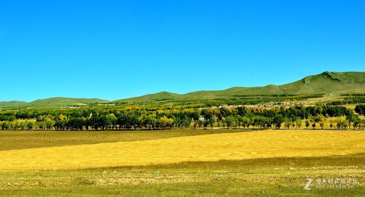 #版主坐堂#2016年2月份《承德》优秀作品选辑
