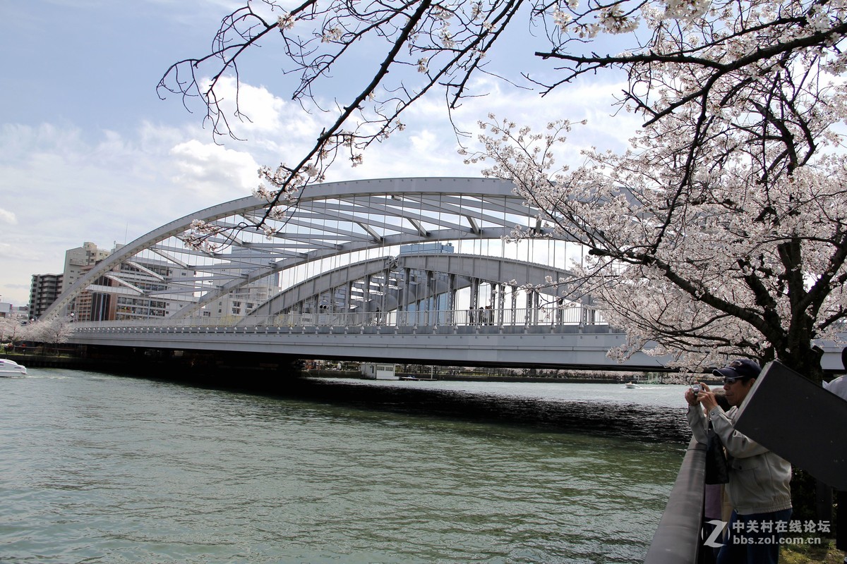 日本游览拍樱花之一大阪市樱宫桥附近