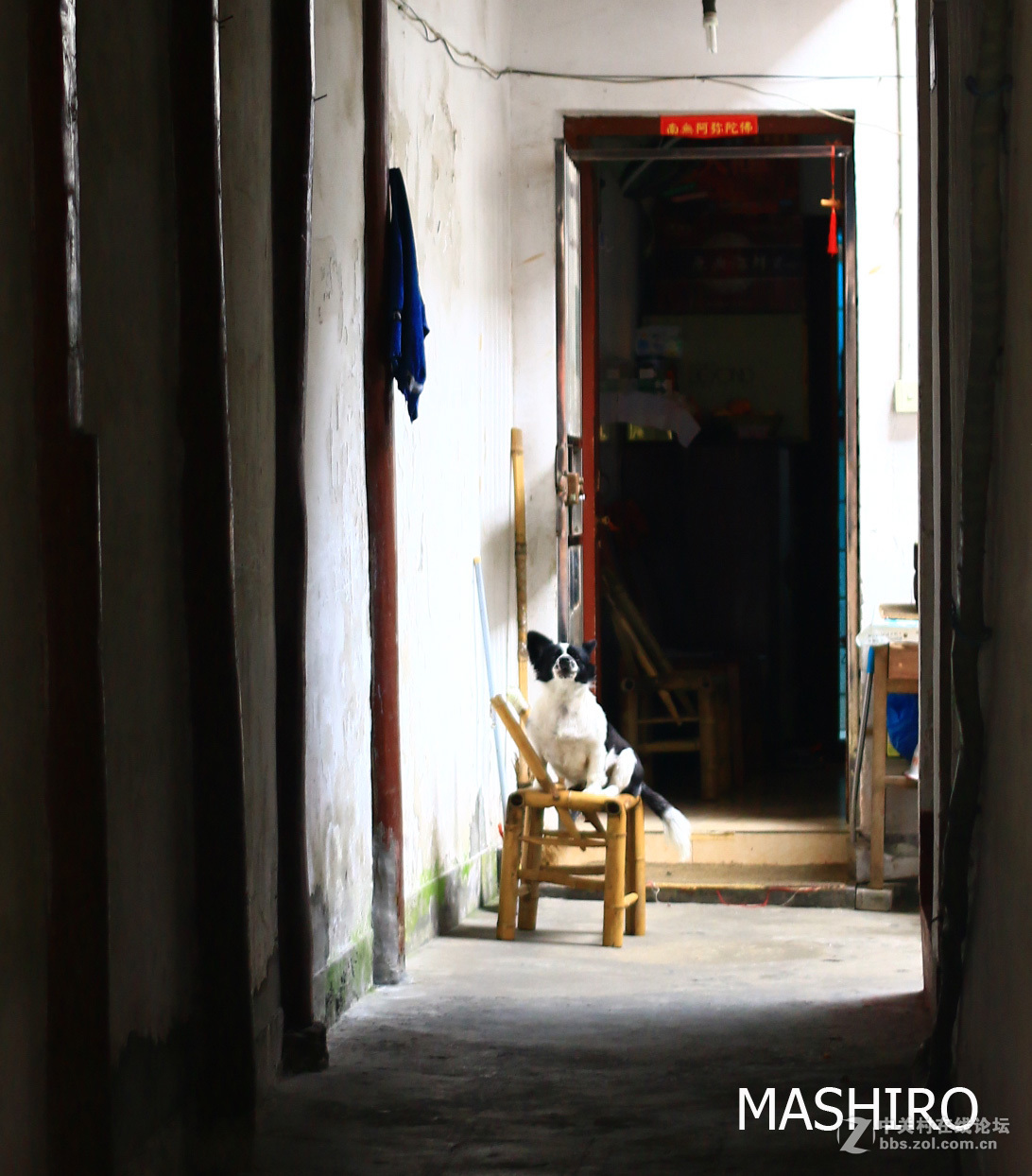 2016年5月30日外拍笔记