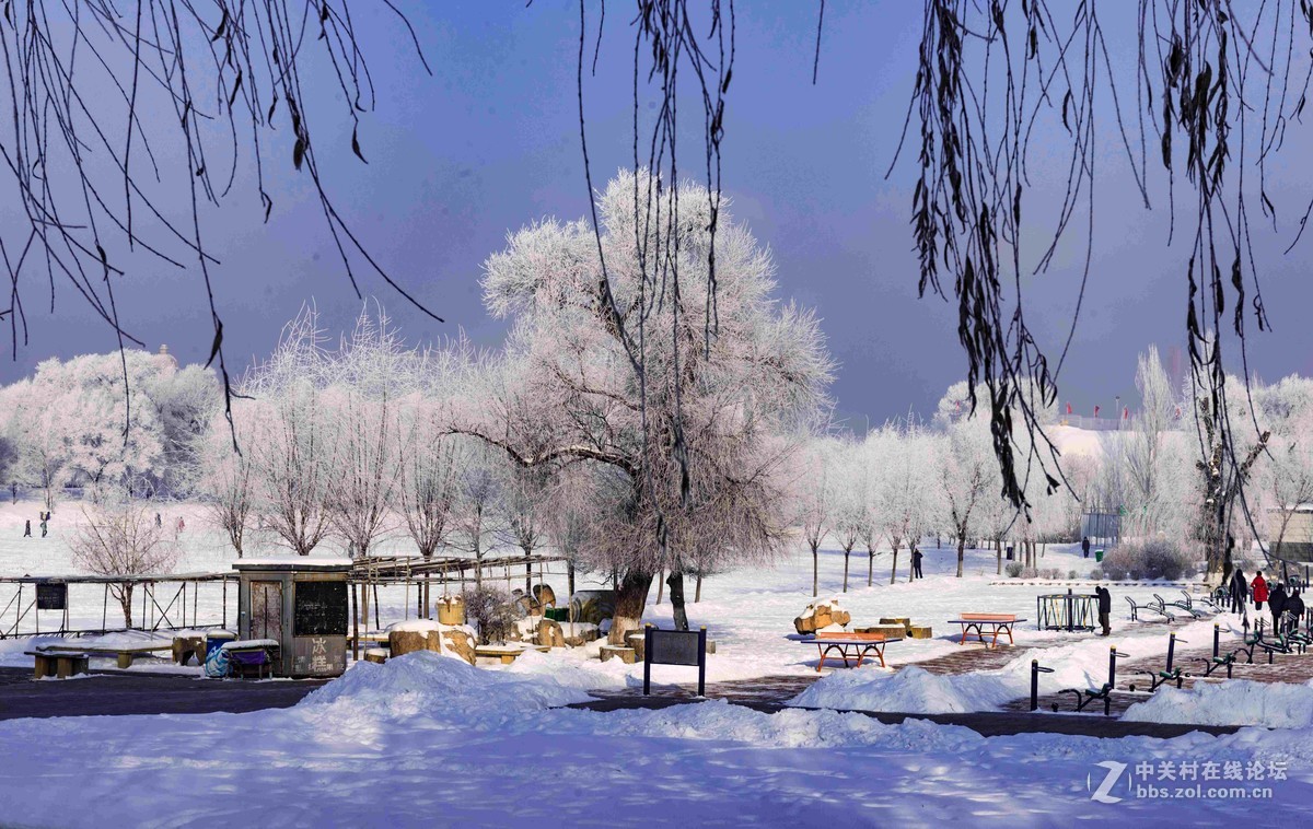 超凡脱俗的吉林雾凇