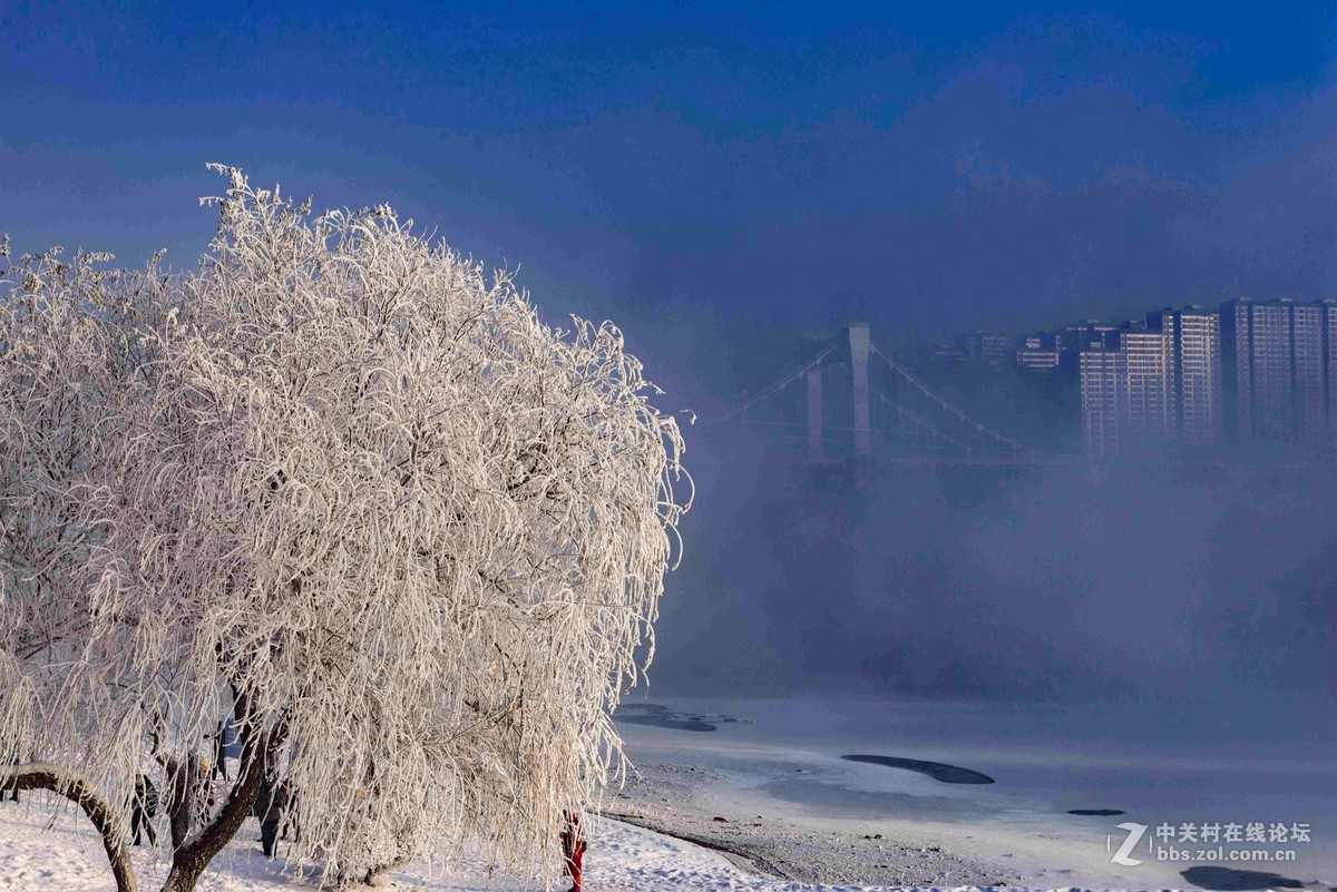 超凡脱俗的吉林雾凇
