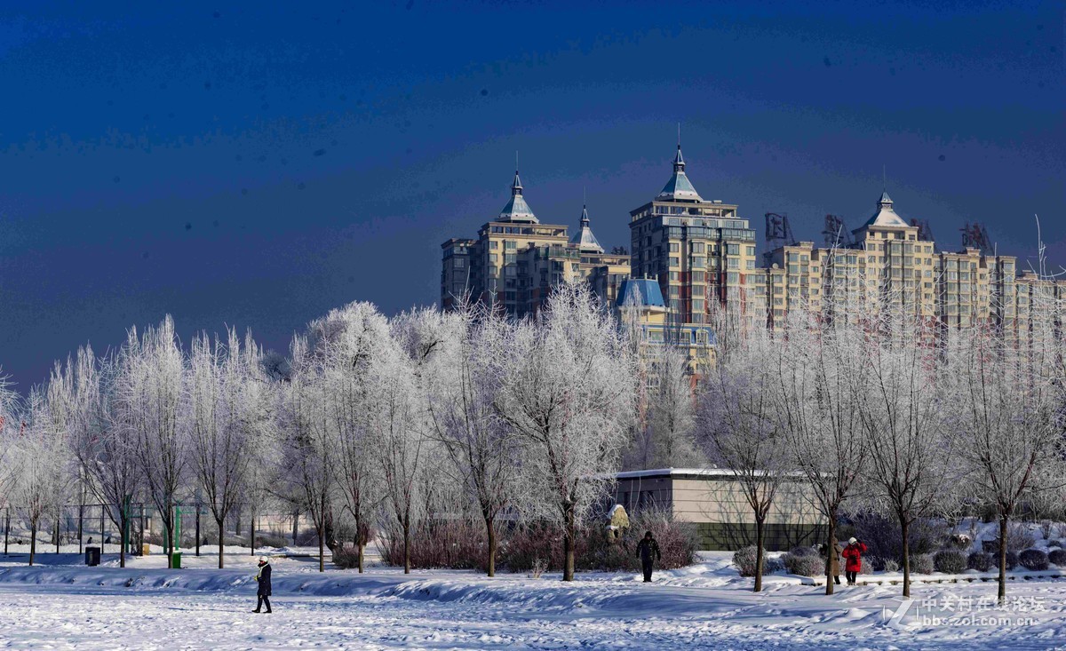 超凡脱俗的吉林雾凇