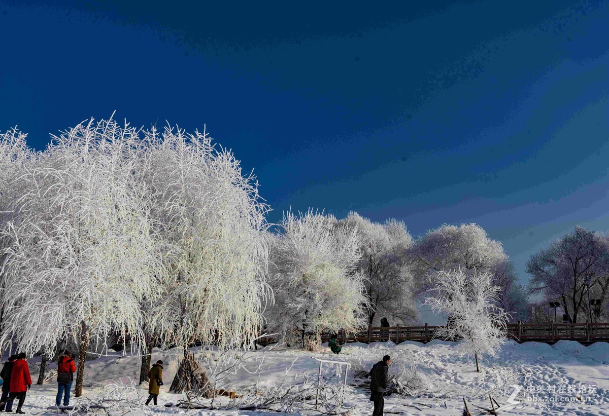超凡脱俗的吉林雾凇