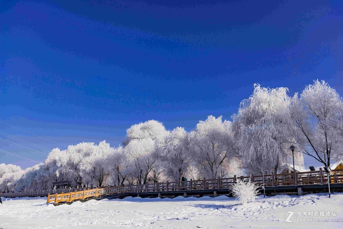 超凡脱俗的吉林雾凇
