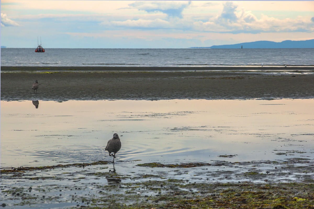 加拿大、美国游记（035）：白石镇（一）